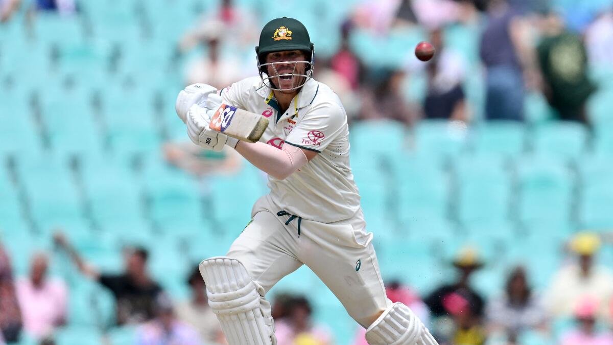 David Warner