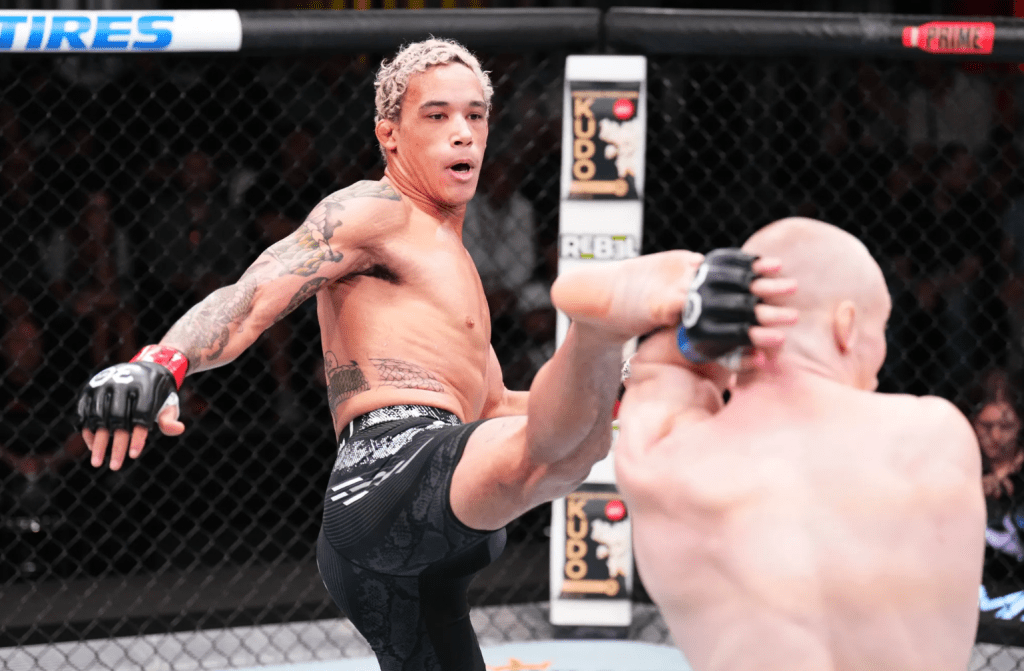 UFC Fight Night 239