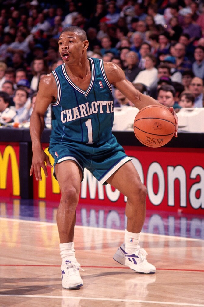 Bogues