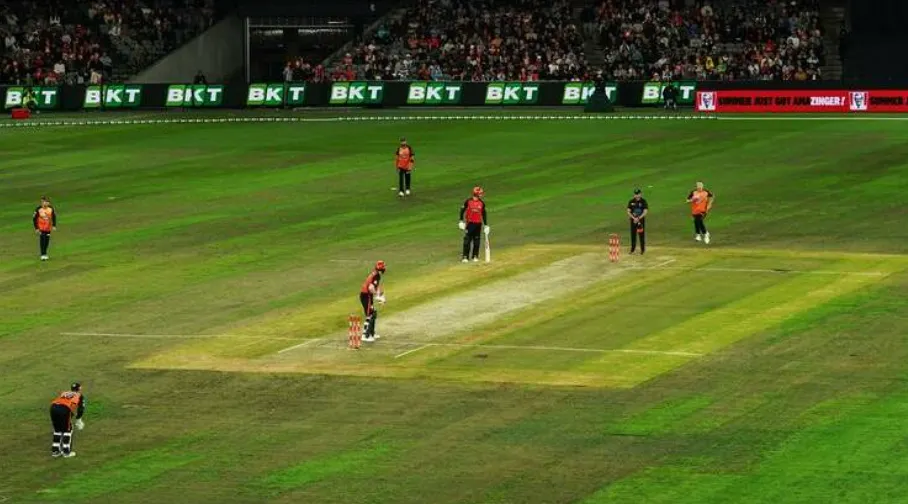 Finch Calls for Geelong Move Unless Marvel Stadium Conditions Improve